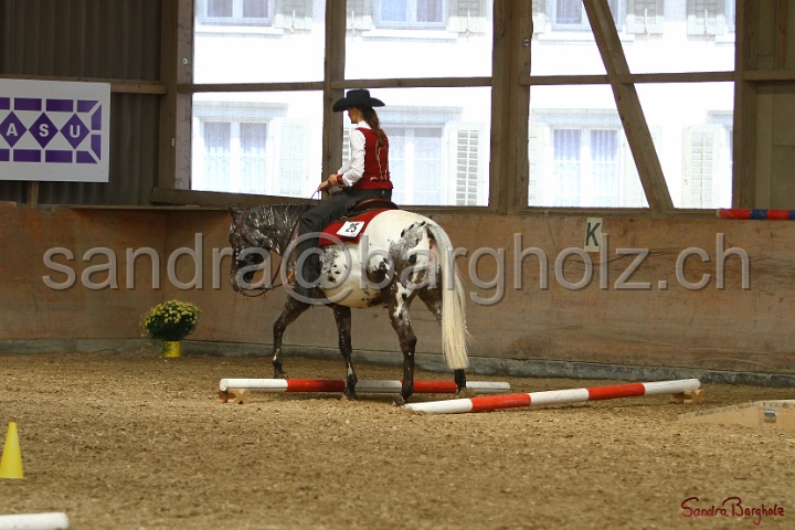 28-ApHC OT_286.jpg